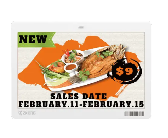 ZKC73B | 7.3”Dot Matrix EPD Graphic Screen ESL