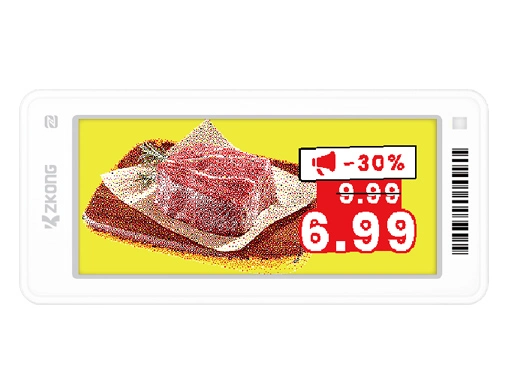 ZKC29S | 2.9'' Dot Matrix EPD Graphic Screen ESL