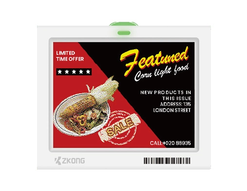 ZKC42V | 4.2'' Dot Matrix EPD Graphic Screen ESL