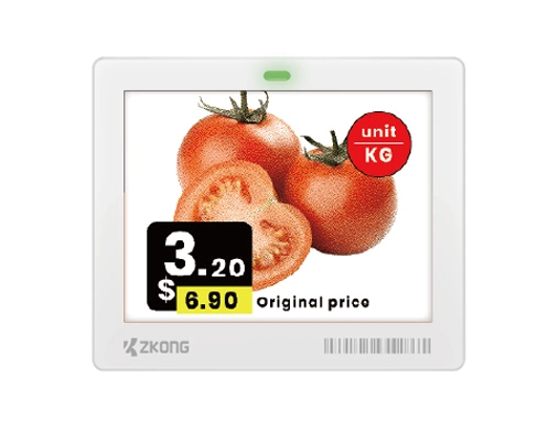 ZKC42B | 4.2'' Dot Matrix EPD Graphic Screen ESL