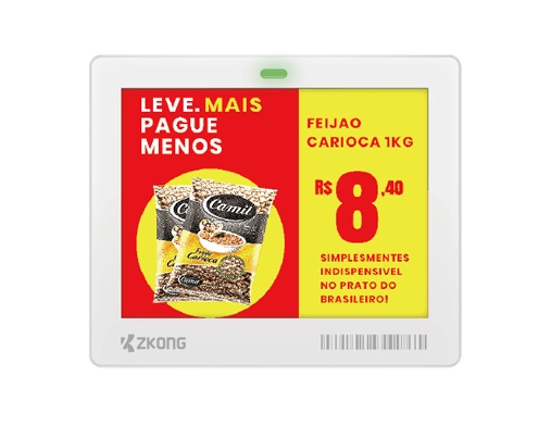 ZKC42BP | 4.2'' Dot Matrix EPD Graphic Screen ESL