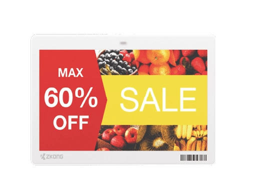 ZKC73B | 7.3'' Dot Matrix EPD Graphic Screen ESL