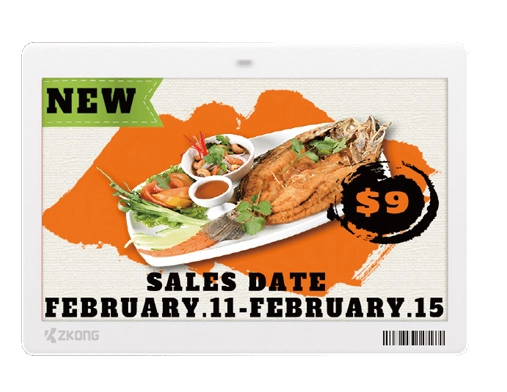 ZKC73B | 7.3'' Dot Matrix EPD Graphic Screen ESL