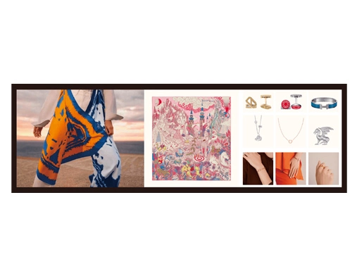 ZKL290 | 29'' Stretched LCD Display