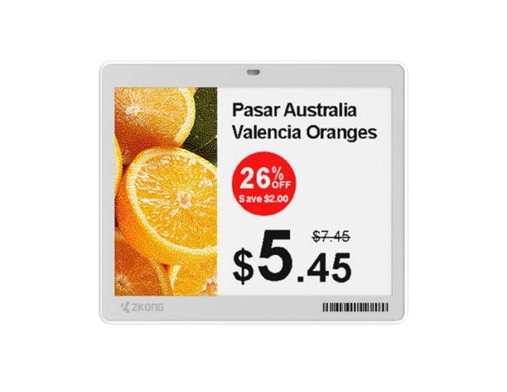 ZKC42Q-E4 | 4.2“ Dot Matrix EPD Graphic Screen ESL